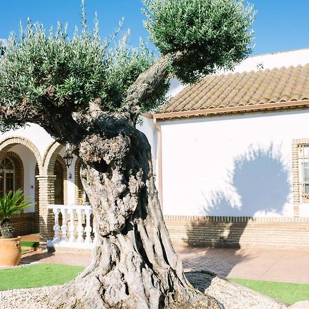 منزل الضيف Casa Luxury "El Olivo De Cordoba" Con Jacuzzi Y Parking Privado المظهر الخارجي الصورة