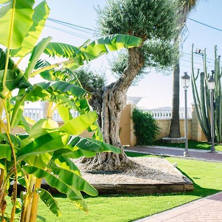 منزل الضيف Casa Luxury "El Olivo De Cordoba" Con Jacuzzi Y Parking Privado المظهر الخارجي الصورة