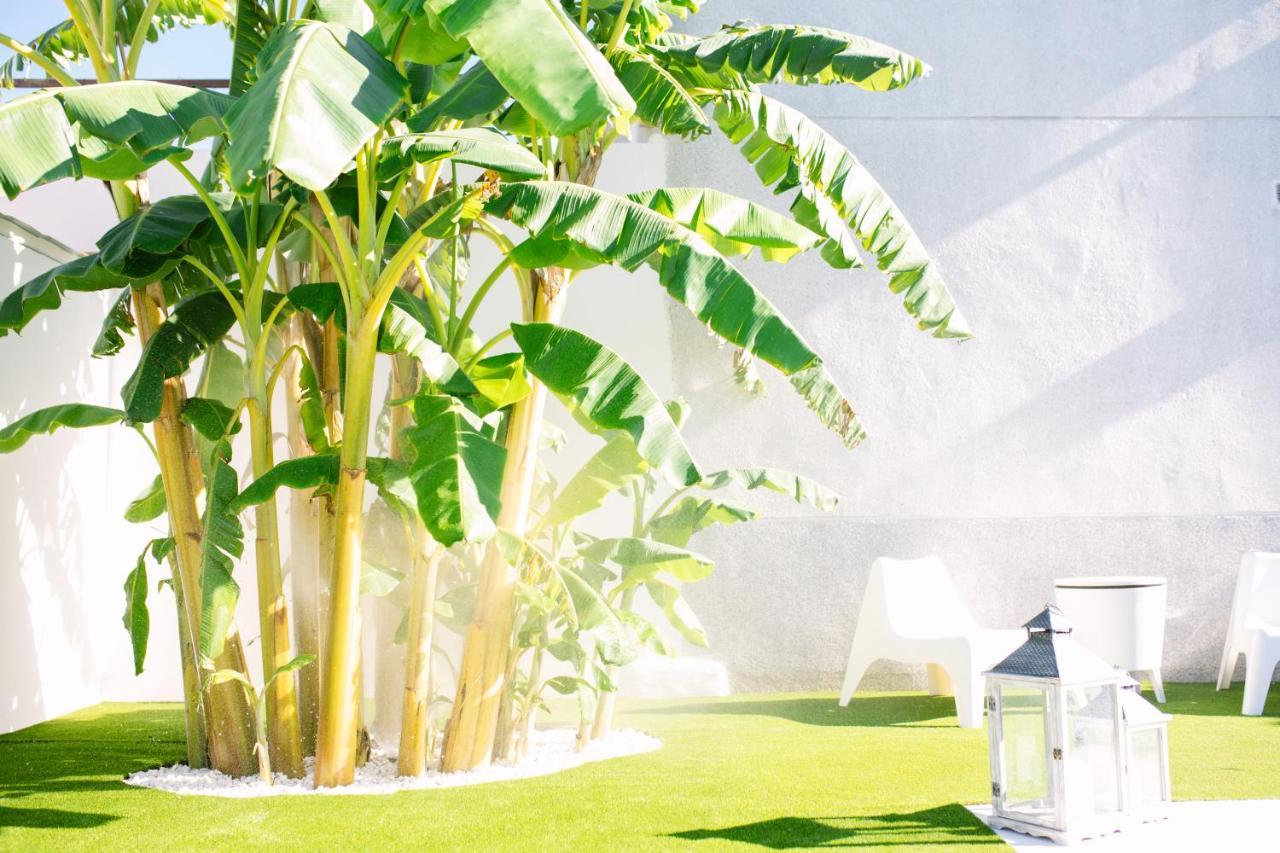 منزل الضيف Casa Luxury "El Olivo De Cordoba" Con Jacuzzi Y Parking Privado المظهر الخارجي الصورة